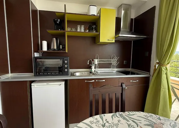 In Big Kamelia Complex Sunny